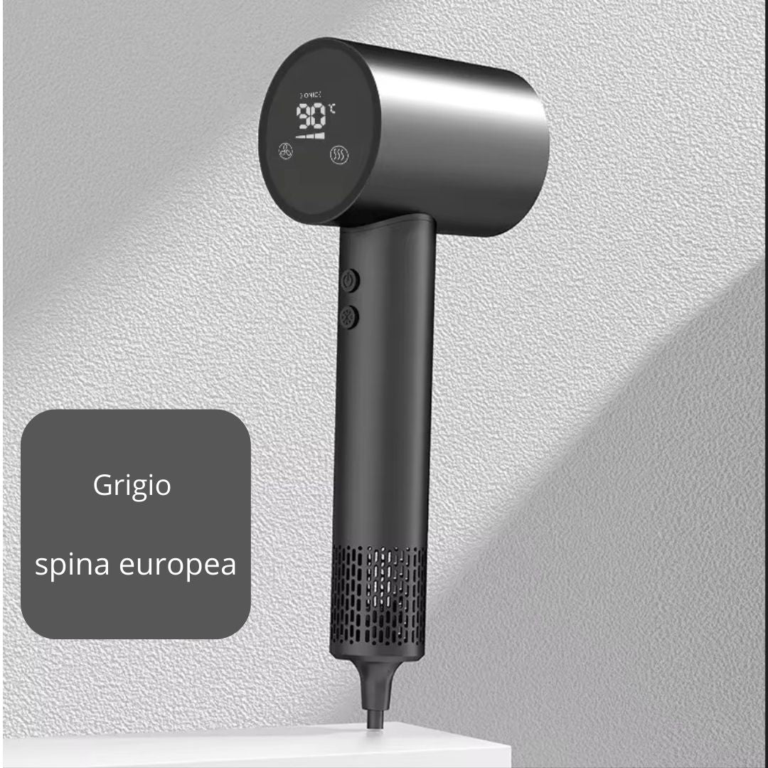 Professional Ionic Hairdryer